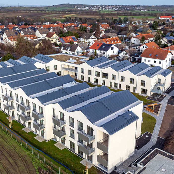 Carestone Mommenheim.jpg